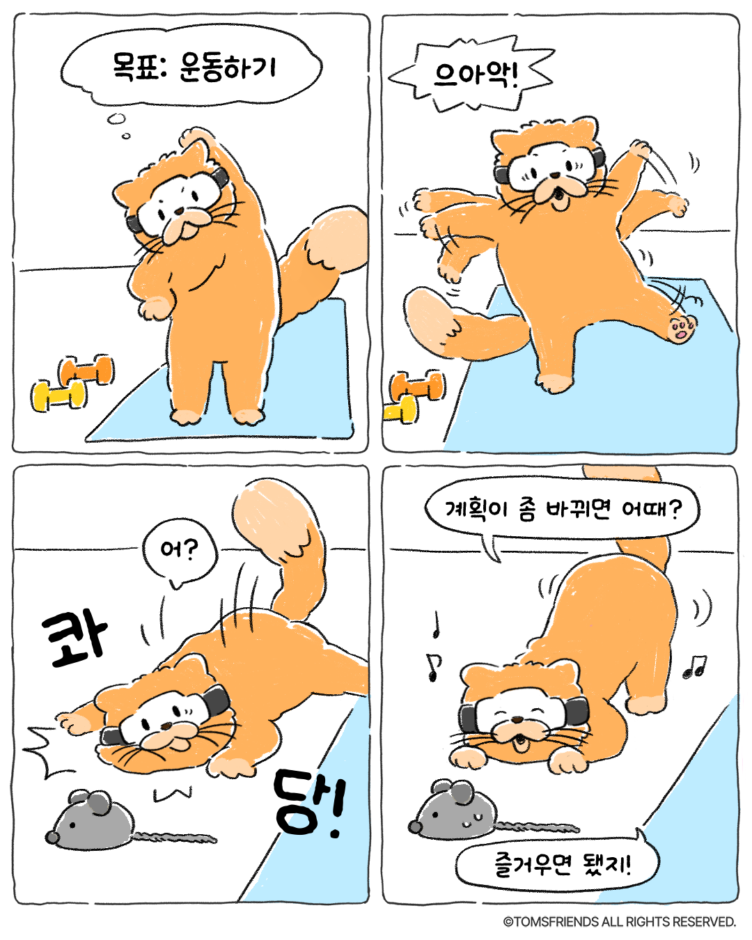 올해의 계획은