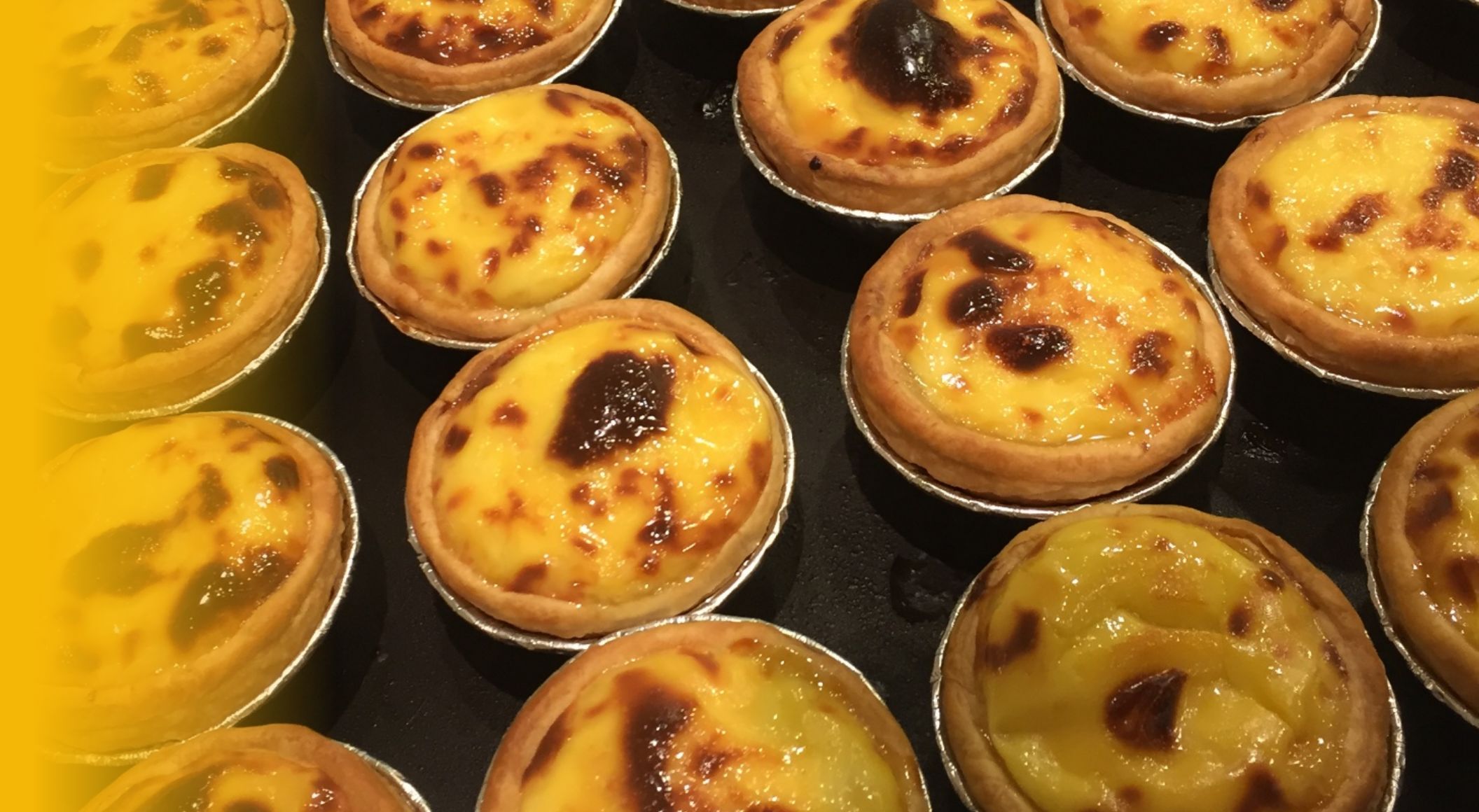 차일디쉬·모찌트리·포르투나타·타코붐