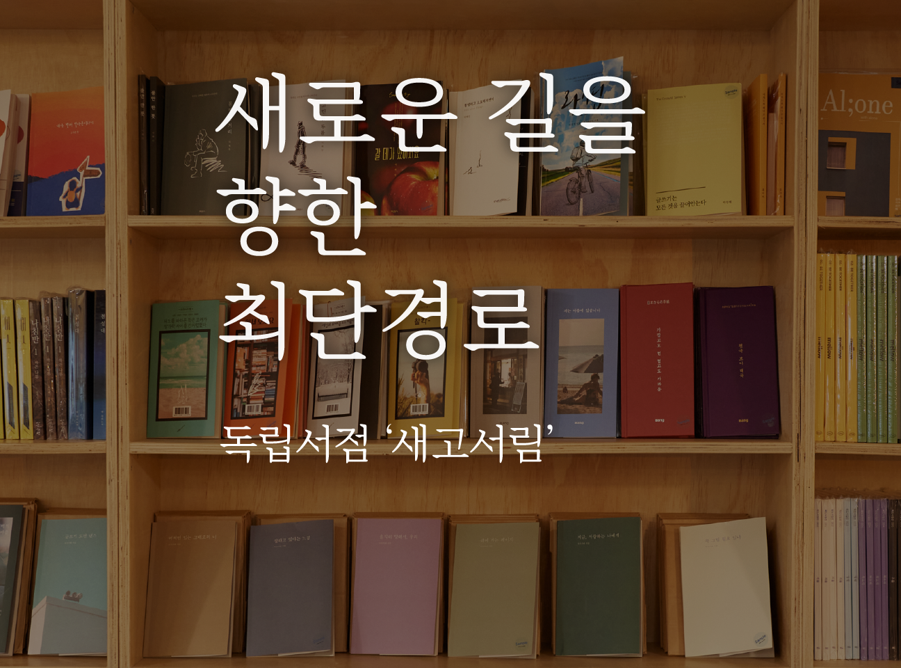  '새고서림'